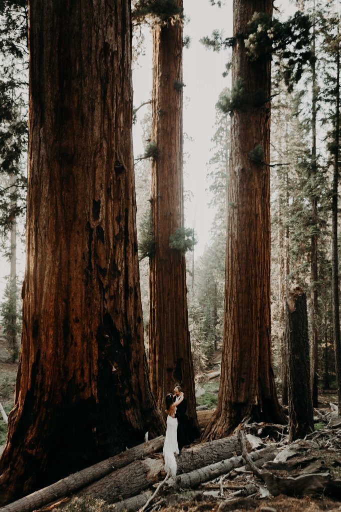 trees and seas – elopement-4