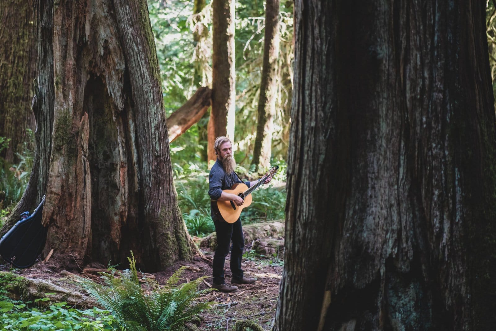 guitar player for intimate forest wedding.