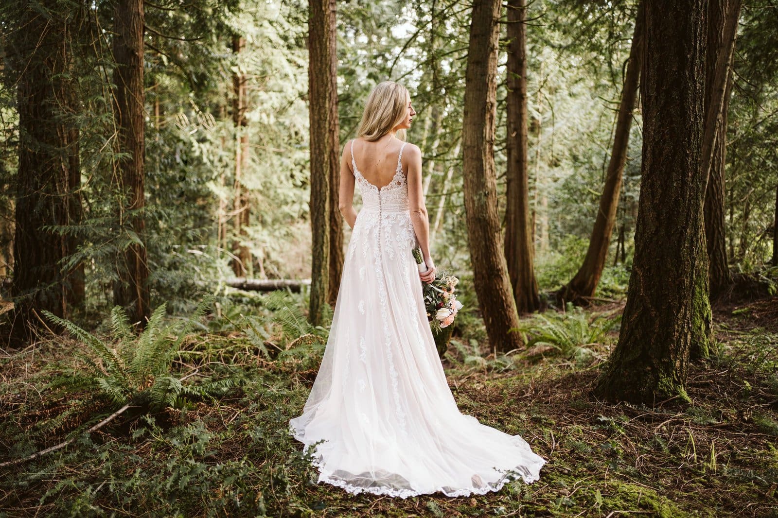 Essence of Australia | Q1 2020 Essense of Australia D2782 back