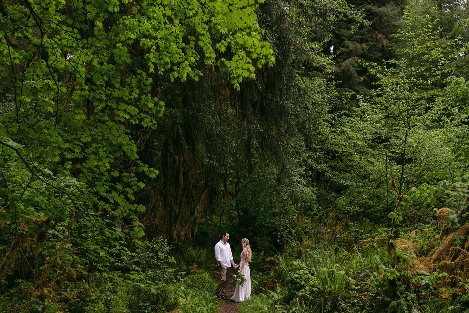 Wild Coast Photography