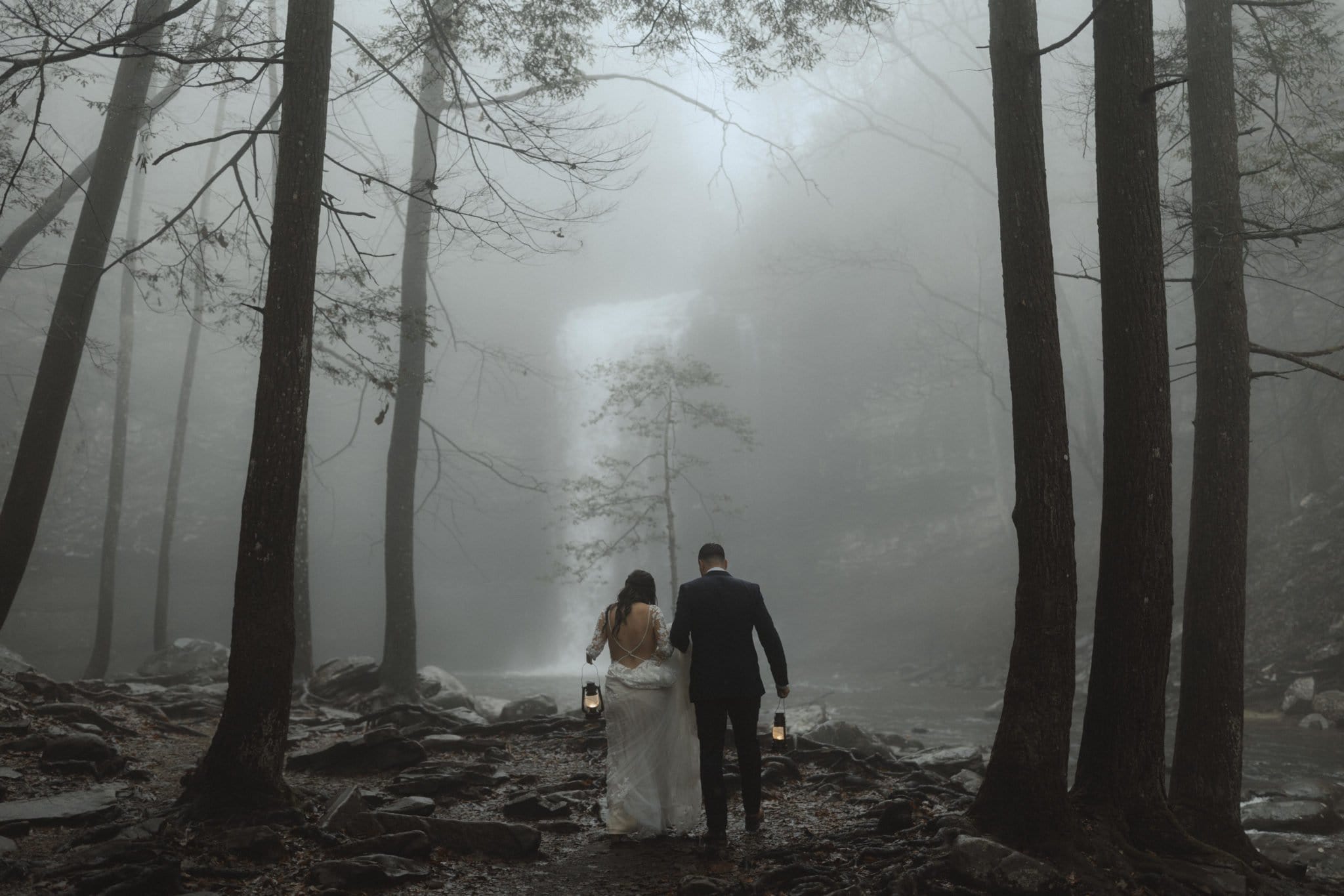 Thistle + Wood Photo