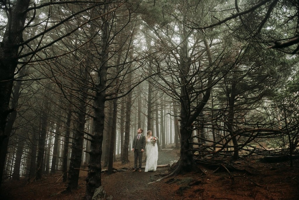 Roan mountain forest elopement experience for couples