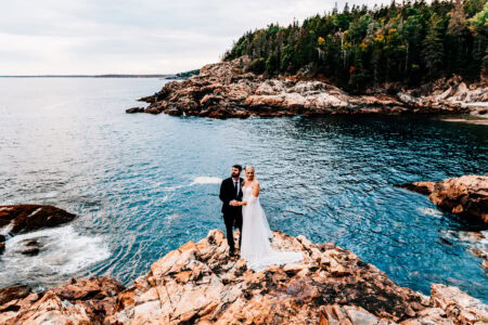 Parallel Roots Photography