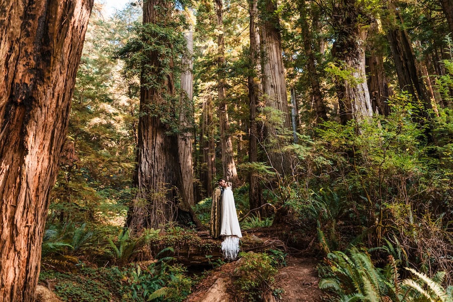 Gabriella Rankin Photography