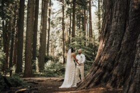 Where the Giants Stand: A Heartfelt Wedding Among the Redwoods
