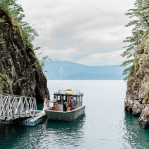 2-Day Kenai Fjords + Dogsled Glacier Elopement – Alaska