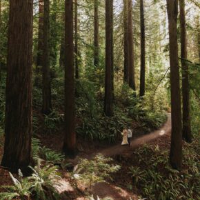 Portland Roses & Redwoods
