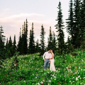 Wildflower Dreams at Mt. Rainier National Park