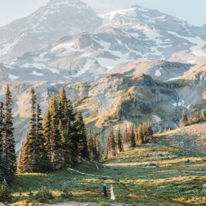 Glacier & Meadow: A Full-Day Elopement at Mount Rainier