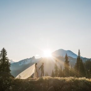 Frost & Fern: A Mini Mt Rainier Elopement