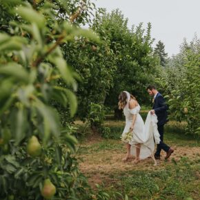 Harvest & Orchard Dreams – Hood River Fruit Loop Adventure