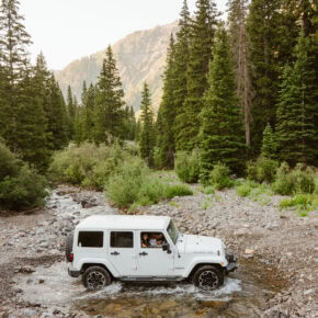 Wildflower & Off-Roading Adventure – Ouray, Colorado