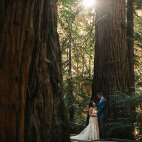 Rugged Coast & Redwoods Elopement Adventure– Big Sur