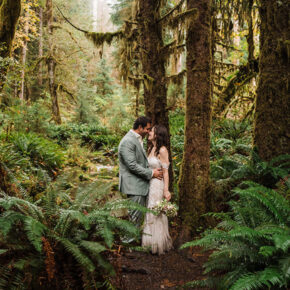 Forest, Sea & Sky Elopement Experience