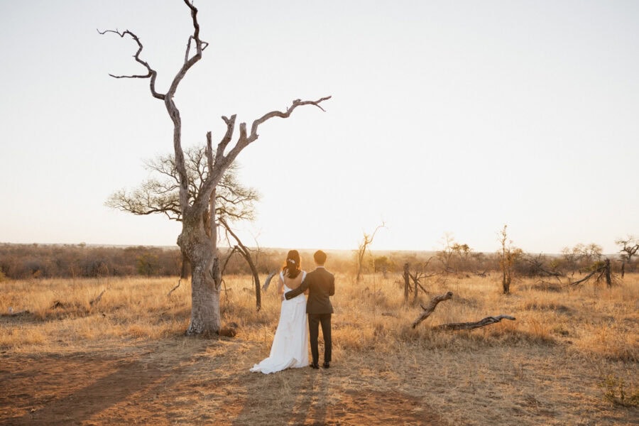 Bride and groom stand to the side of a giant dead tree watching the sun set during their safari elopement in Hoedspruit South Africa