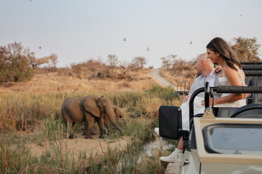 Bride and groom watching elephants from a game viewer during their safari elopement at in Hoedspruit.