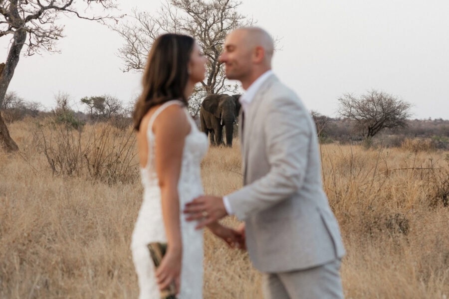 Bride and groom lean in to kiss framing elephant in the background while eloping on safari in South Africa.
