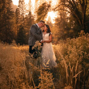 Valley of Light–Photo & Video, 2 Day Immersive Expedition in Yosemite